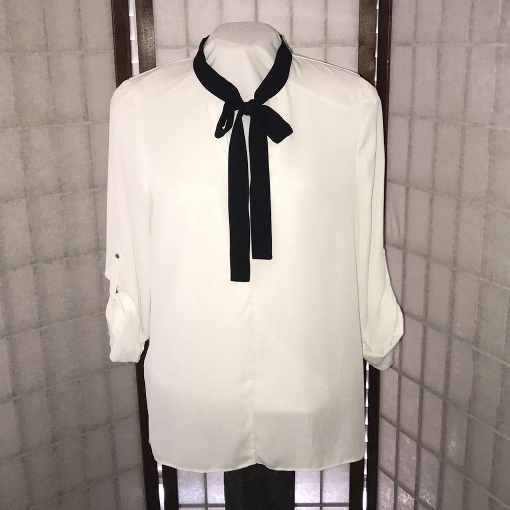 Sheer Blouse